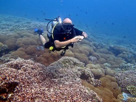 SEJARAH BONDALEM ECO DIVE: KONSERVASI DAN WISATA BAWAH LAUT