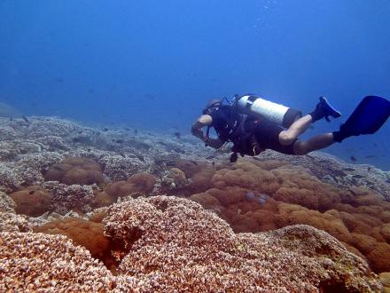 BONDALEM ECO DIVE: BUMDES BONDALEM MENUJU GLOBAL